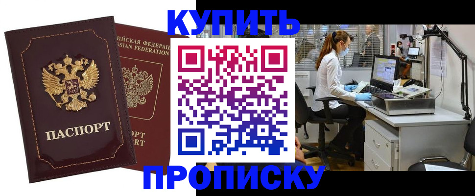 прописка гарантия в Чкаловске